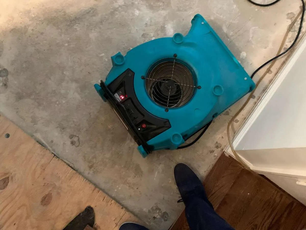 Air mover drying subfloor during Leak Detection & Repair in Denison