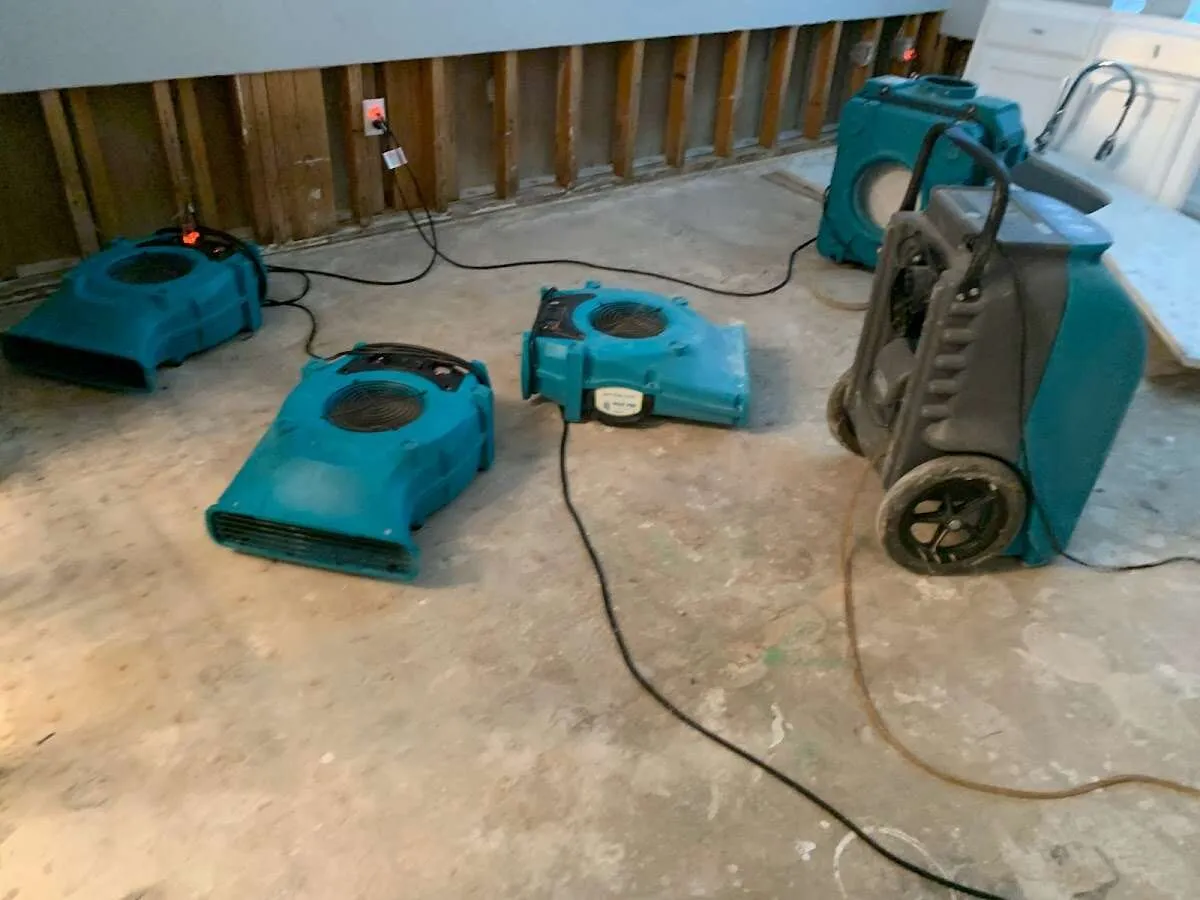 Drying & Dehumidification in Denison, TX